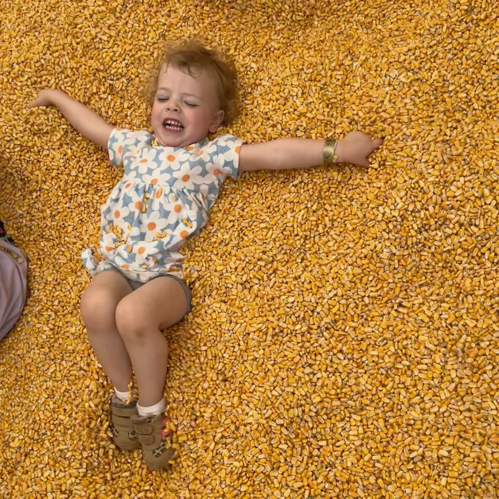 The corn wagon at Country Pumpkins - Cincinnati pumpkin patches - One Little Small Blog