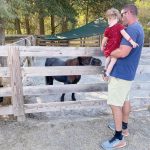 Visiting the animals at Blooms & Berries pumpkin patch - Cincinnati pumpkin patches - One Little Small Blog