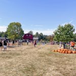 Blooms & Berries pumpkin patch - Cincinnati pumpkin patches - One Little Small Blog