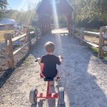 Barnyard 500 at Blooms & Berries pumpkin patch - Cincinnati pumpkin patches - One Little Small Blog