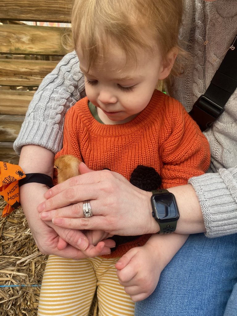 Holding a baby chick at Burger Farm's Fall Fest - Cincinnati pumpkin patches - One Little Small Blog