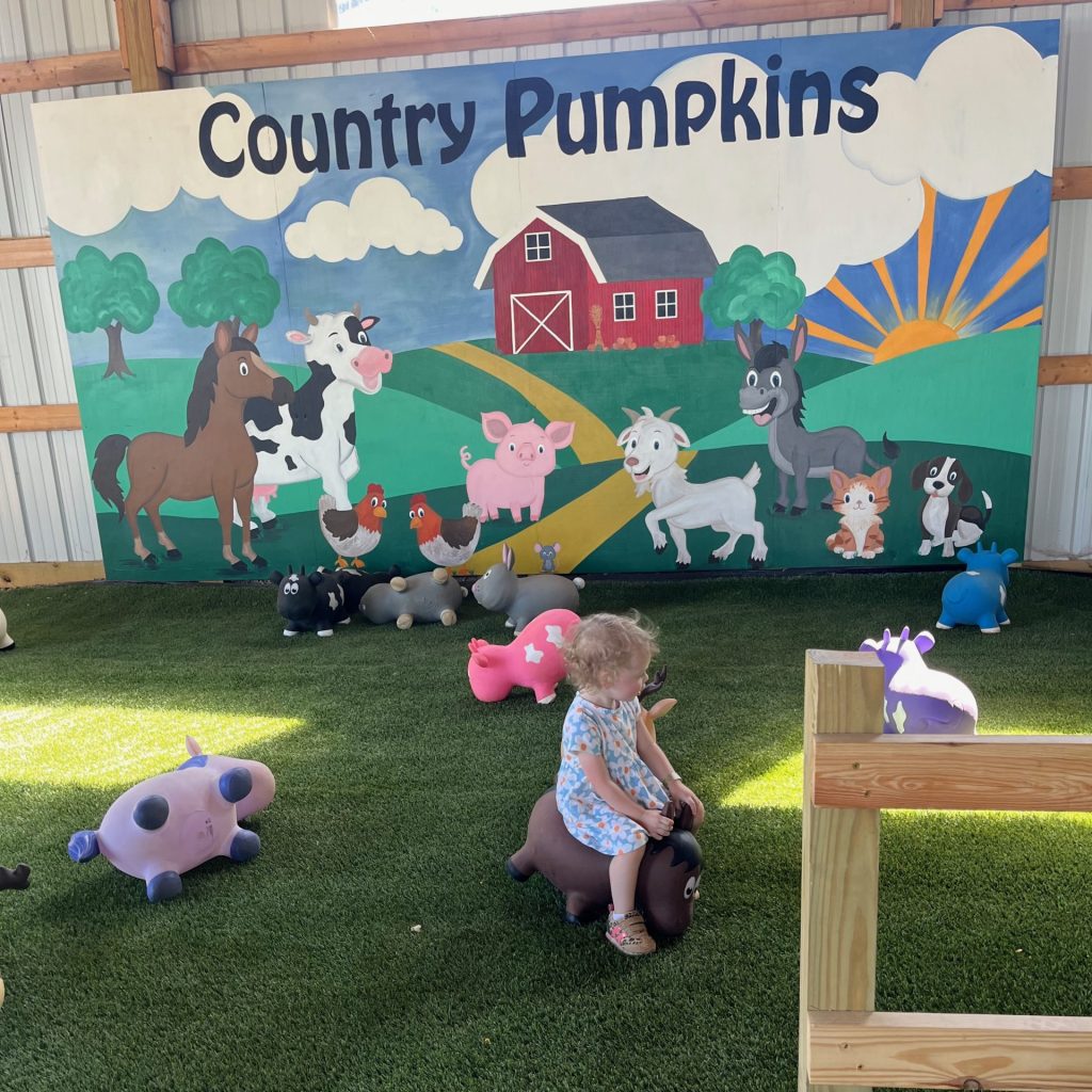 Barnyard Adventure at Country Pumpkins - Cincinnati pumpkin patches - One Little Small Blog