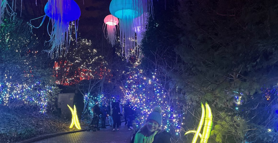 Cincinnati Holiday Lights - One Little Small Blog - Cincinnati Zoo Festival of Lights