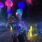Cincinnati Holiday Lights - One Little Small Blog - Cincinnati Zoo Festival of Lights