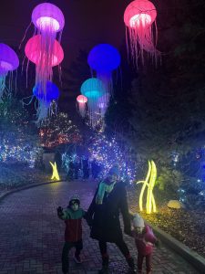 Cincinnati Holiday Lights - One Little Small Blog - Cincinnati Zoo Festival of Lights