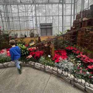 Cincinnati Holiday Trains - Krohn Conservatory Trains - One Little Small Blog