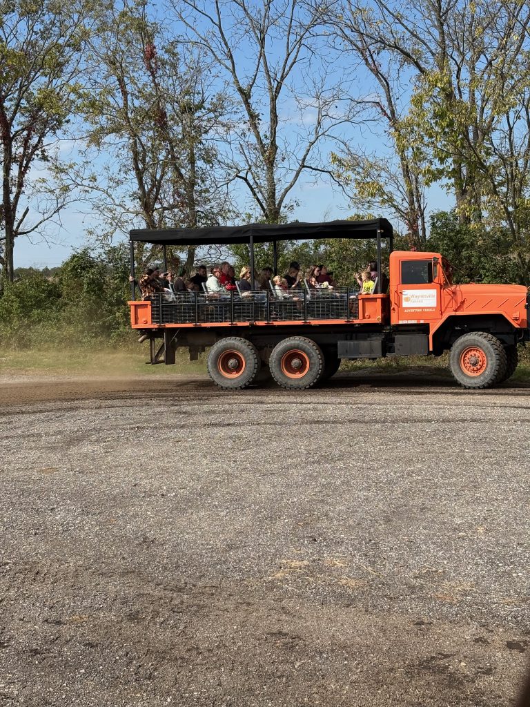 Cincinnati Pumpkin Patches - Waynesville Fall Fest